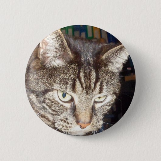 5 Cm Dave vous regarde Standard, Badge Rond (Devant)