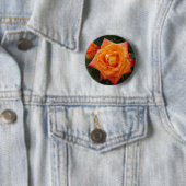 5 Cm Orange Rose  photo Badge rond (En situation)