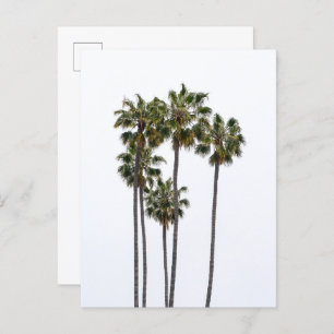 5 handpalmen Briefkaart