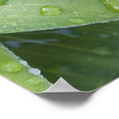 5 Healing - 72 Namen van God Poster (Hoek)