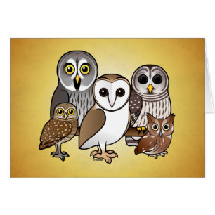 5 hiboux de Birdorable