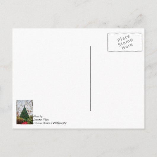 5 Histoire SDC Arbre Pensant à Toi Carte Postale (Dos)