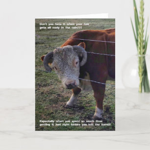 5-inch x7-inch gevouwen kaart    Popeye Morning "D