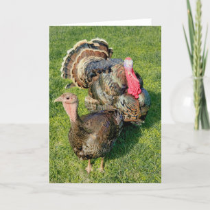 5-inch x7-inch gevouwen kaart    Thomas en Henriet