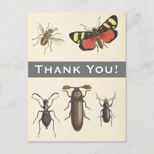 5 Insectes Vintages "Merci !" Carte postale