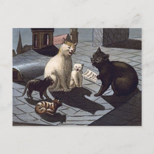 5 Katten met muziekvel zingend 's nachts op een da Briefkaart