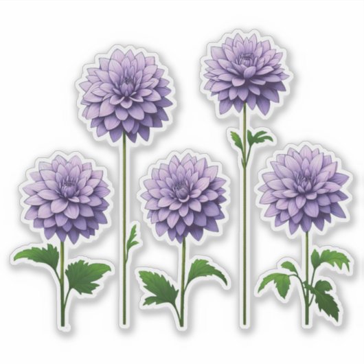 5 Lavender Dahlia (bright) Sticker (Voorkant)