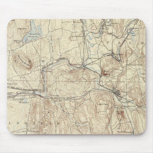 5 Palmerfolie Muismat (Voorkant)