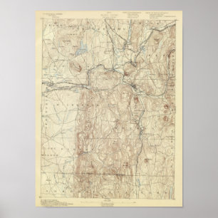 5 Palmerfolie Poster