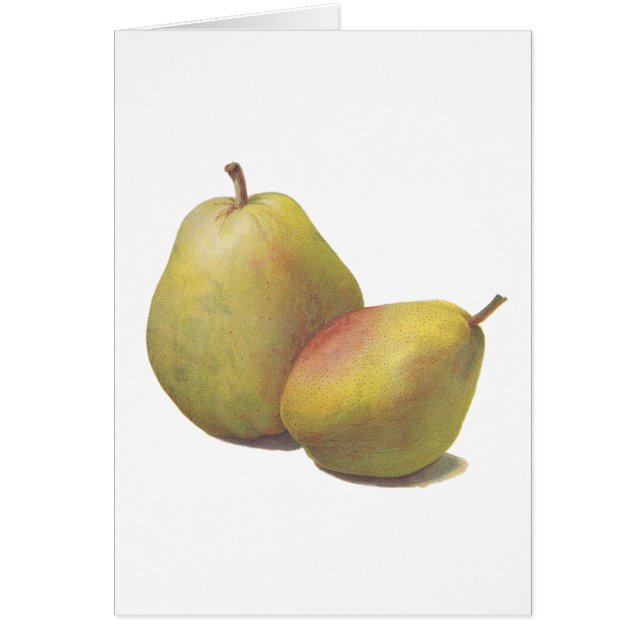 5  peren geïllustreerd (Voorkant)