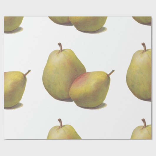 5 peren geïllustreerd cadeaupapier (Vlak)