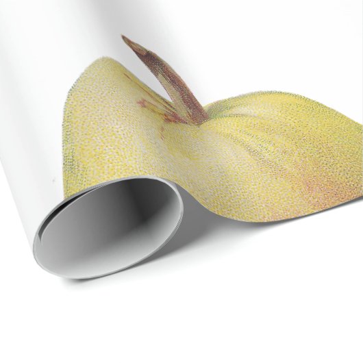 5 peren geïllustreerd cadeaupapier (Rol Hoek)