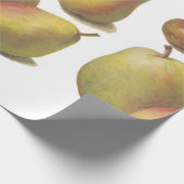 5 peren geïllustreerd cadeaupapier (Hoek)