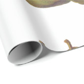 5 peren geïllustreerd cadeaupapier (Rol Hoek)