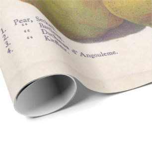 5 peren geïllustreerd cadeaupapier