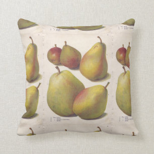 5 peren, geïllustreerd kussen