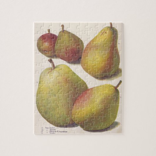 5 peren geïllustreerd legpuzzel (Verticaal)