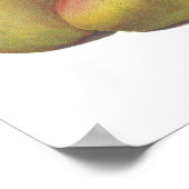 5  peren geïllustreerd poster (Hoek)