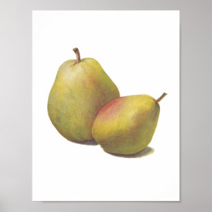 5  peren geïllustreerd poster