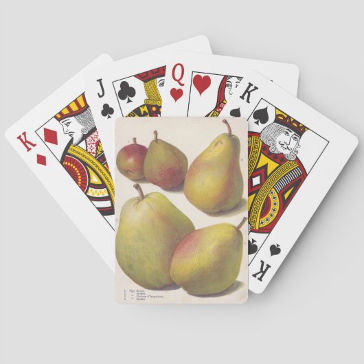 5  peren geïllustreerd speelkaarten (Achterkant)