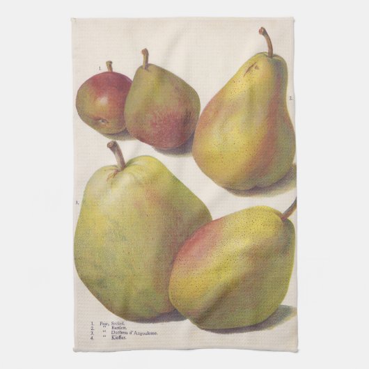 5  peren geïllustreerd theedoek (Verticaal)