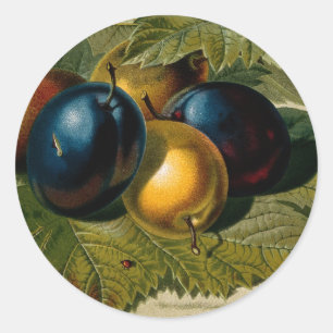 5 pruimen schilderen ronde sticker