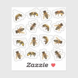 5 Realistische honingbijen op 16 vinyl Stickers