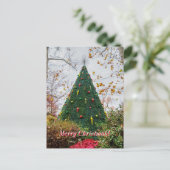 5 Story Sdc Tree Christmas Postcard Briefkaart (Staand voorkant)