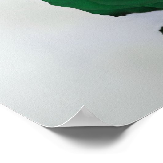 5 Tableau Émeraude Vert Rose Mariage Tableau de si (Coin)