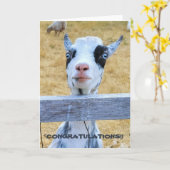 5"x7" gevouwen kaart || Felicitaties Geit (Gele Bloem)