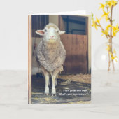 5 "x7" gevouwen Kaart | marshmallow (Gele Bloem)