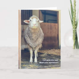 5 "x7" gevouwen Kaart | marshmallow