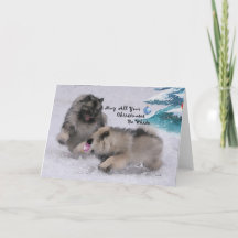 5 x 7 2018 de Kerstkaart van Keeshond van de