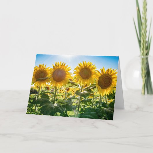 5 x 7 Blank Note Kaart Set (Voorkant)