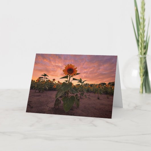 5 x 7 Blank Note Kaart Set (Voorkant)