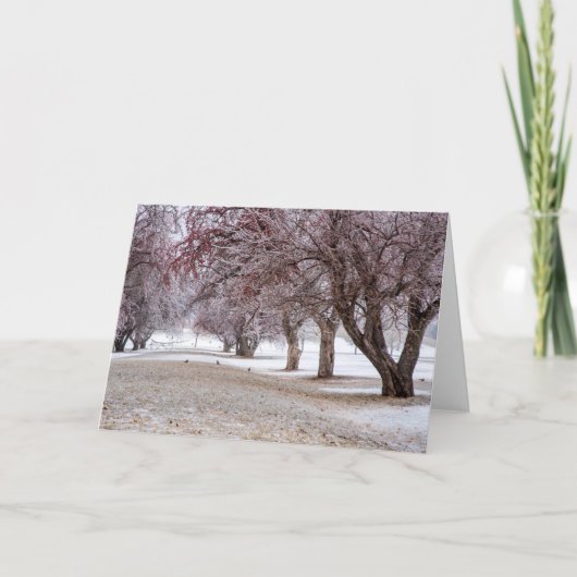 5 x 7 Blank Note Kaart Set (Voorkant)