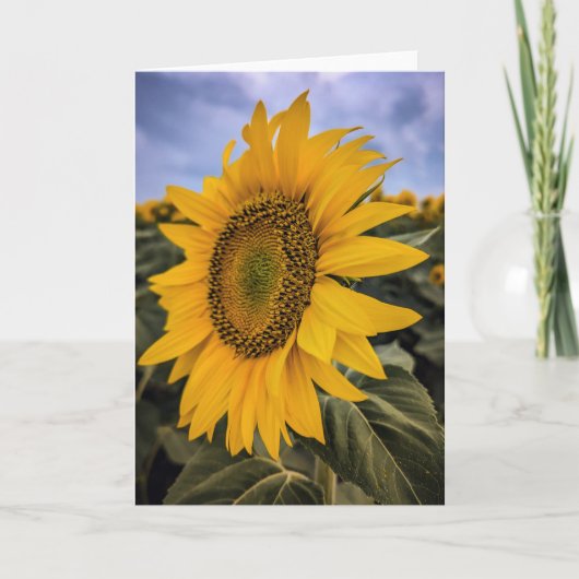 5 x 7 Blank Note Kaart Set (Voorkant)