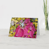 5 x 7 Blank Note Kaart Set (Voorkant)