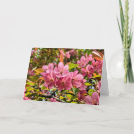 5 x 7 Blank Note Kaart Set