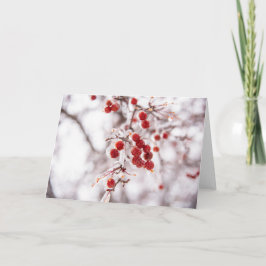 5 x 7 Blank Note Kaart Set