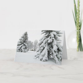 5 x 7 Blank Note Kaart Set