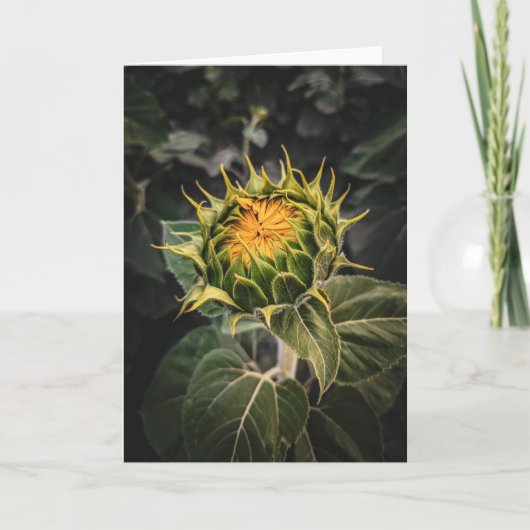 5 x 7 Blank Note Kaart Set (Voorkant)