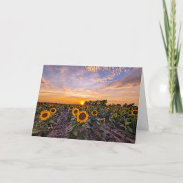5 x 7 Blank Note Kaart Set