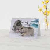 5 x 7 carte de Noël de Keeshond de 2018 vacances (Fleur jaune)
