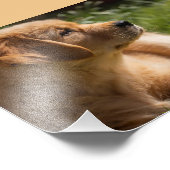 5 x 7 High Definition Persoonlijke Naam Foto Afdruk (Hoek)