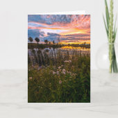 5 x 7 Jeu de cartes de note vierges (Devant)