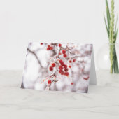 5 x 7 Jeu de cartes de note vierges (Devant)