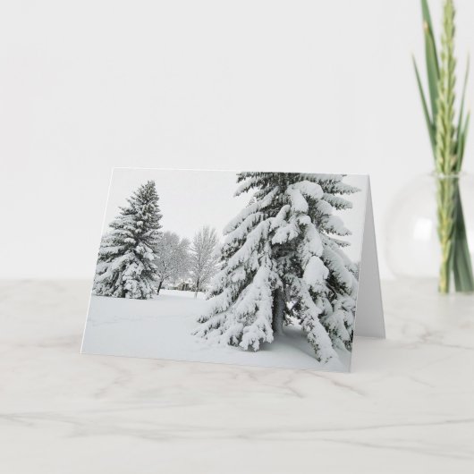 5 x 7 Jeu de cartes de note vierges (Devant)