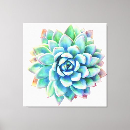 5ft x 5ft extra grote succulent canvas print (Voorkant)