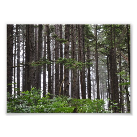 5X7 2e strand Foto Afdruk (Voorkant)